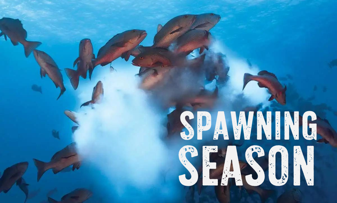 Not all fishing spots are created equal, my friends!