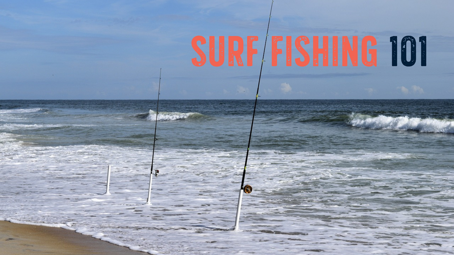 Surf Fishing 101: A Beginner's Guide to Casting Waves and Catching Thrills