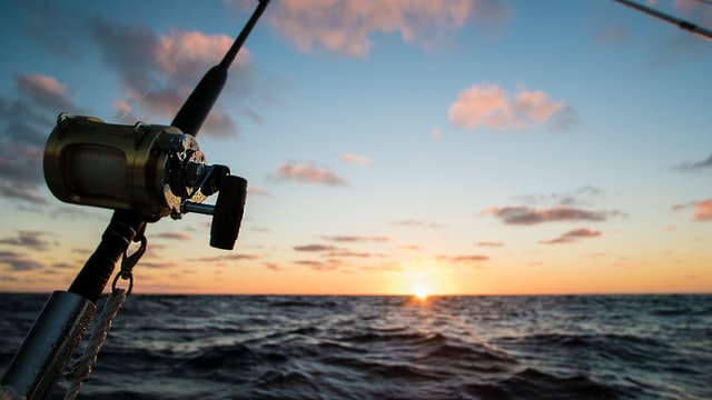 Setting Up a Fishing Pole: Essential Things You Need to Know