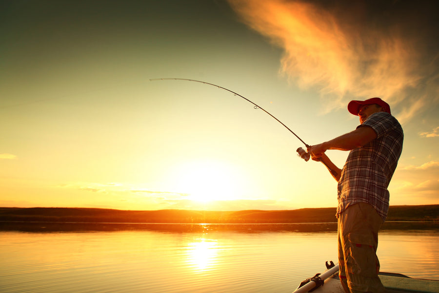 Tackle Your Rod Setup Like a Pro: How to Choose the Best Fishing Line