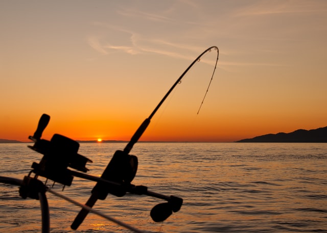 Fishing Guide: 6 Fishing Tips for Beginners